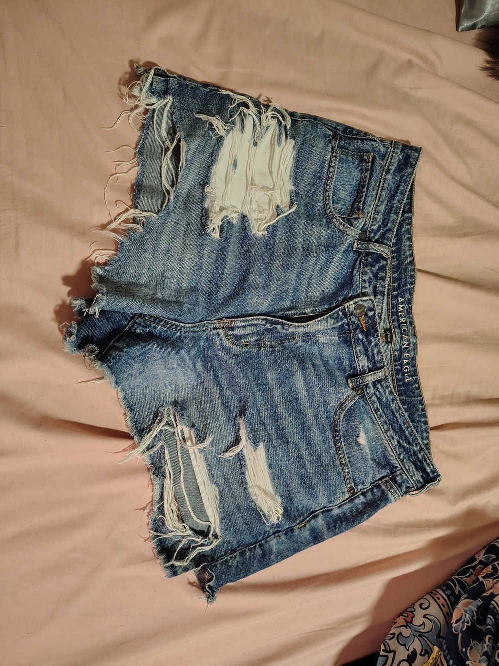 American Eagle Outfitters Women's Ripped Light Blue Denim Shorts